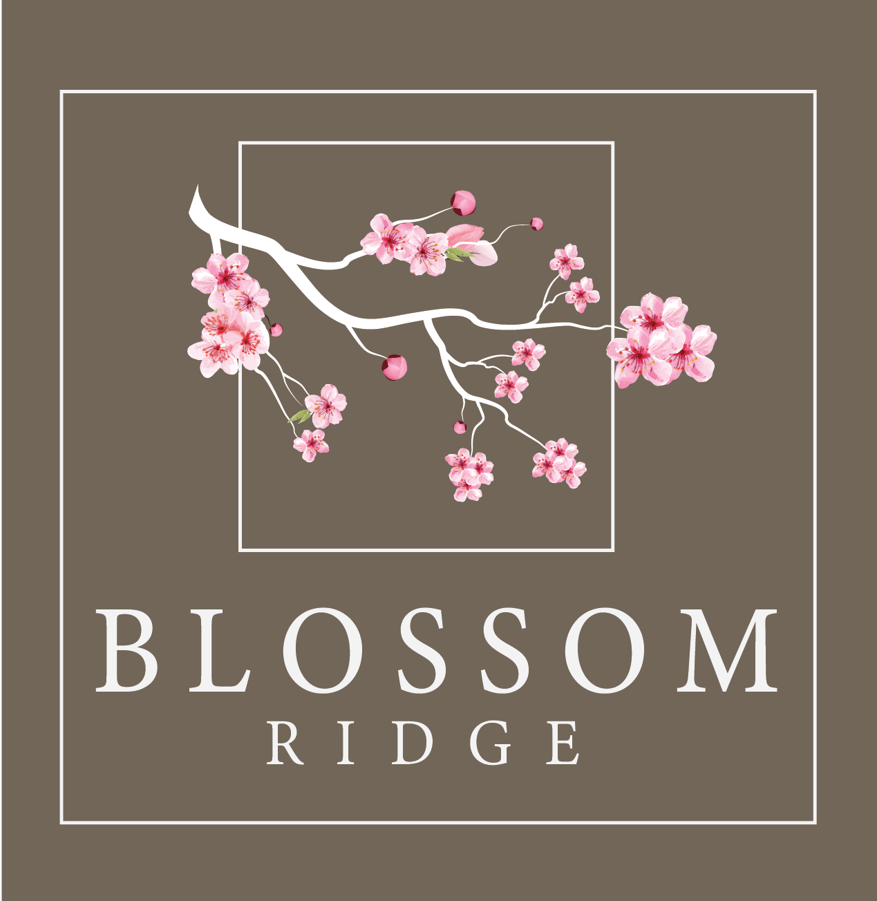 Blossom-Ridge-Logo-REV-Color