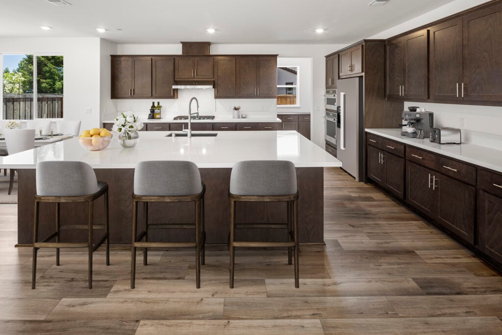 Elegant New Homes at Briar Meadows in Auburn, CA